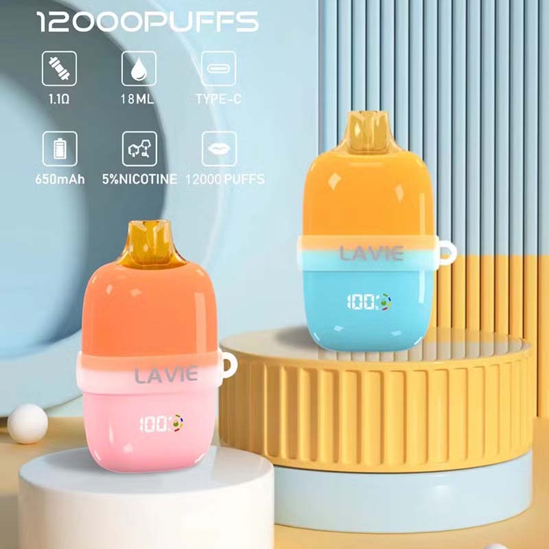 12000 Puffs Rechargeable E Vape