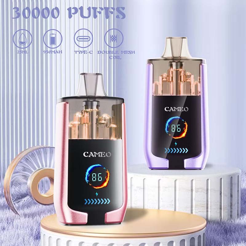 30000 Puffs Mini Pod Vape
