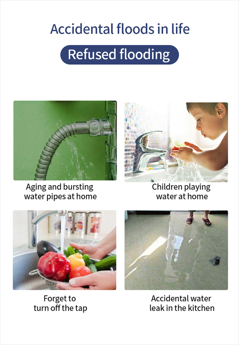 Tuya Water Smart Leakage Detector.jpg