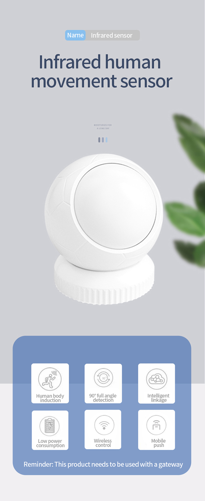 PIR Motion Sensor.jpg