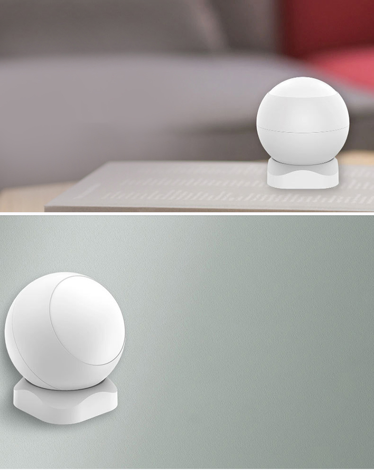 Human Motion Sensor.jpg