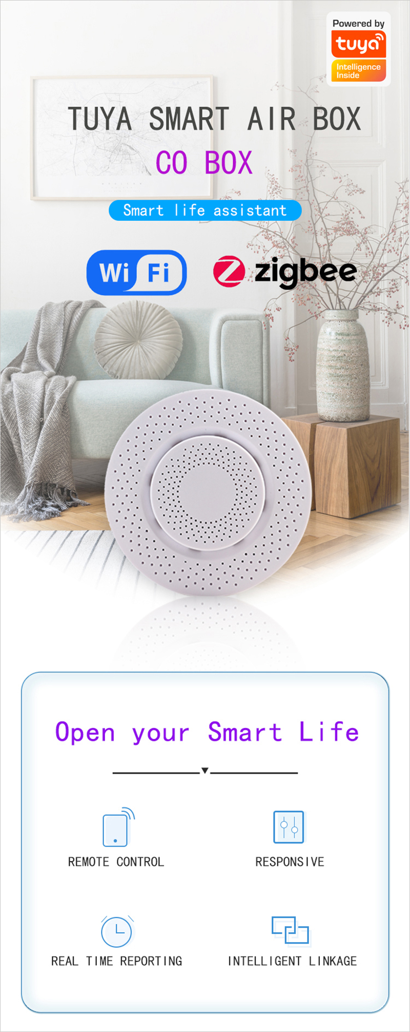 1635999006807348.jpg CO Gas Leak Alarm Detector.jpg