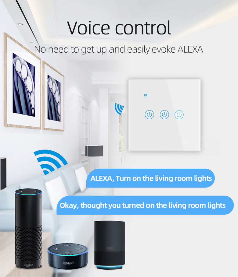 Voice Control touch switch panel.jpg glass switch.jpg